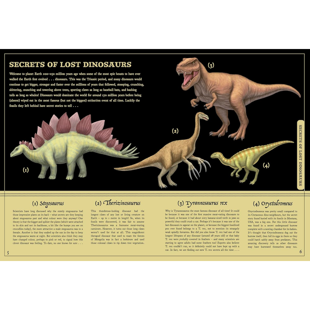 Educational poster about dinosaurs with illustrations and text on a black background