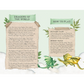 Instructions for a 'Dragons of the World' game with dragons and text on a light green background.