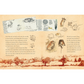 Illustrated book page with drawings of animals and text on a beige background