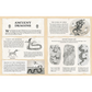 Educational poster about ancient dragons with illustrations and text on a wooden frame.