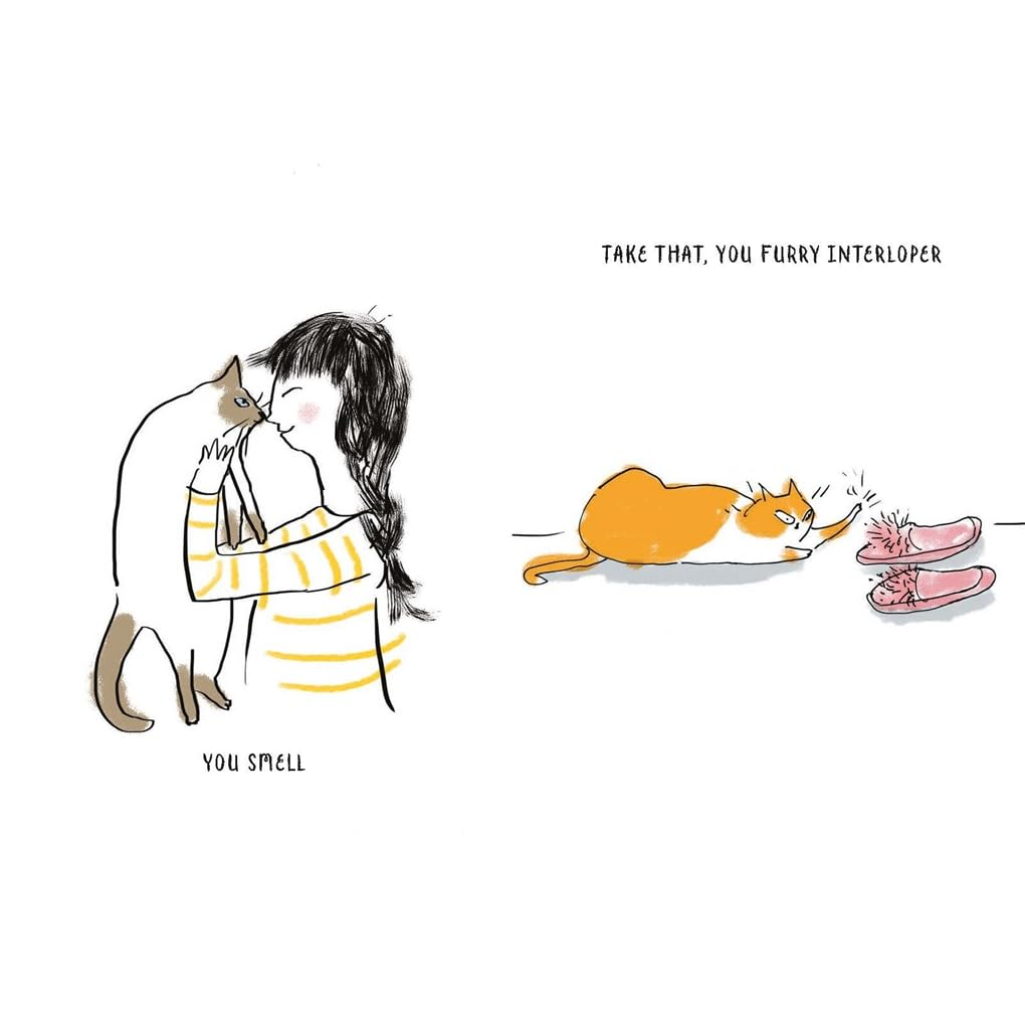 Cartoon of a person hugging a cat with another cat approaching, labeled 'You smell' and 'Take that, you furry interloper'.