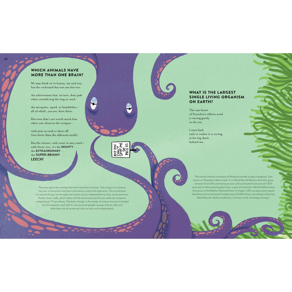 Illustrated book page with octopus design and text on a green background