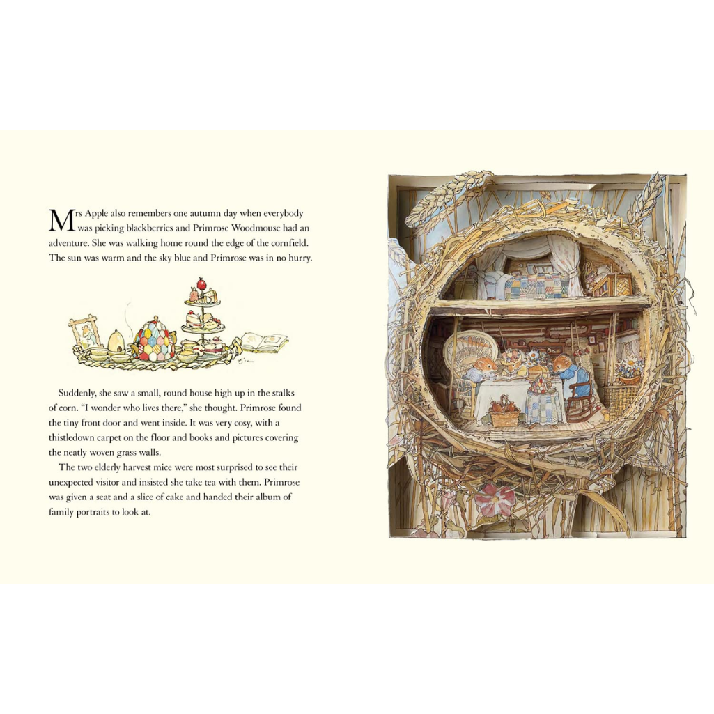 Illustrated book page with detailed interior of a round house and text.