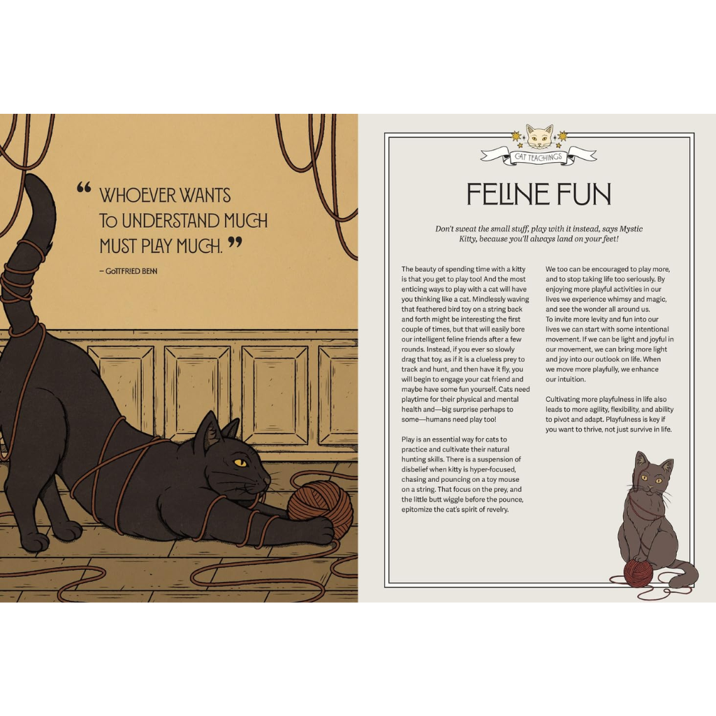 Illustration of a cat playing with yarn, accompanied by text on a white background.