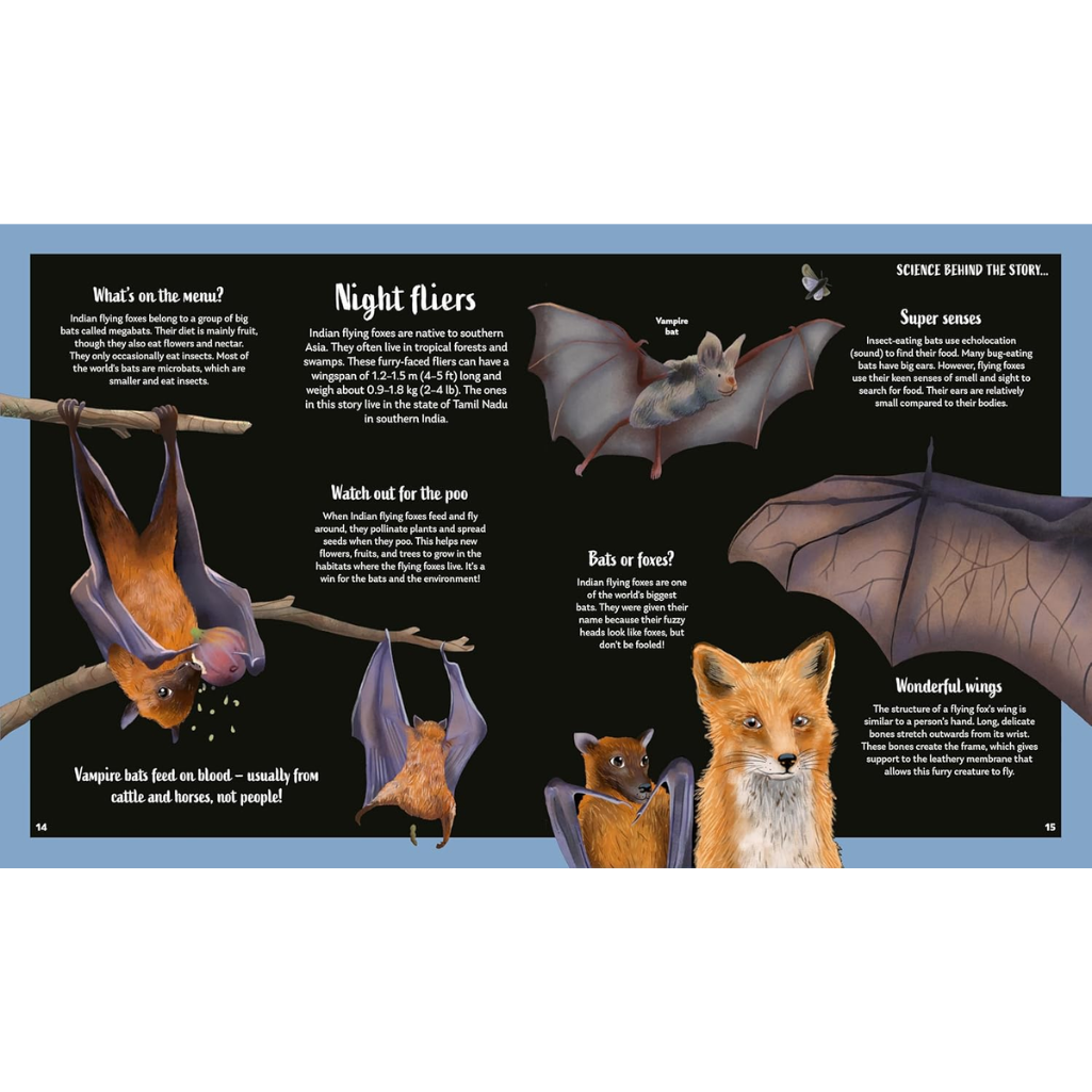 Educational illustration about bats with text and images on a black background