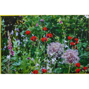 A Year in Bloom