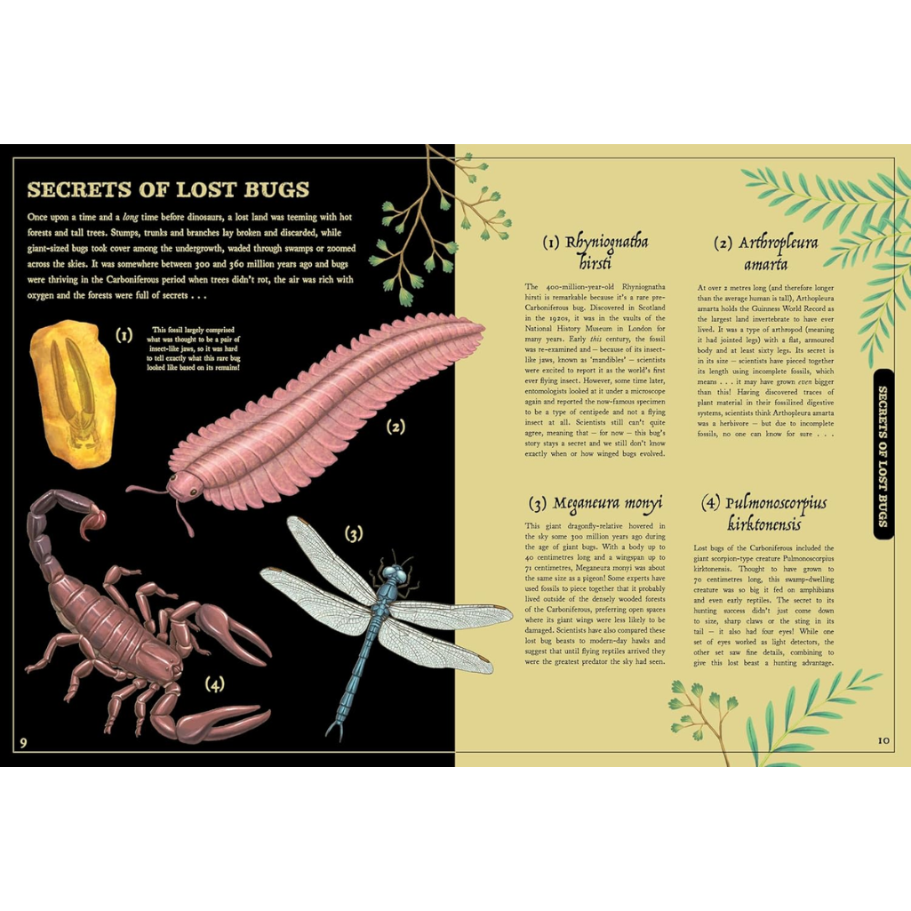 Illustrated book page with various insects and text on a white background