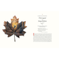 Maple leaf with a printed design on a white background