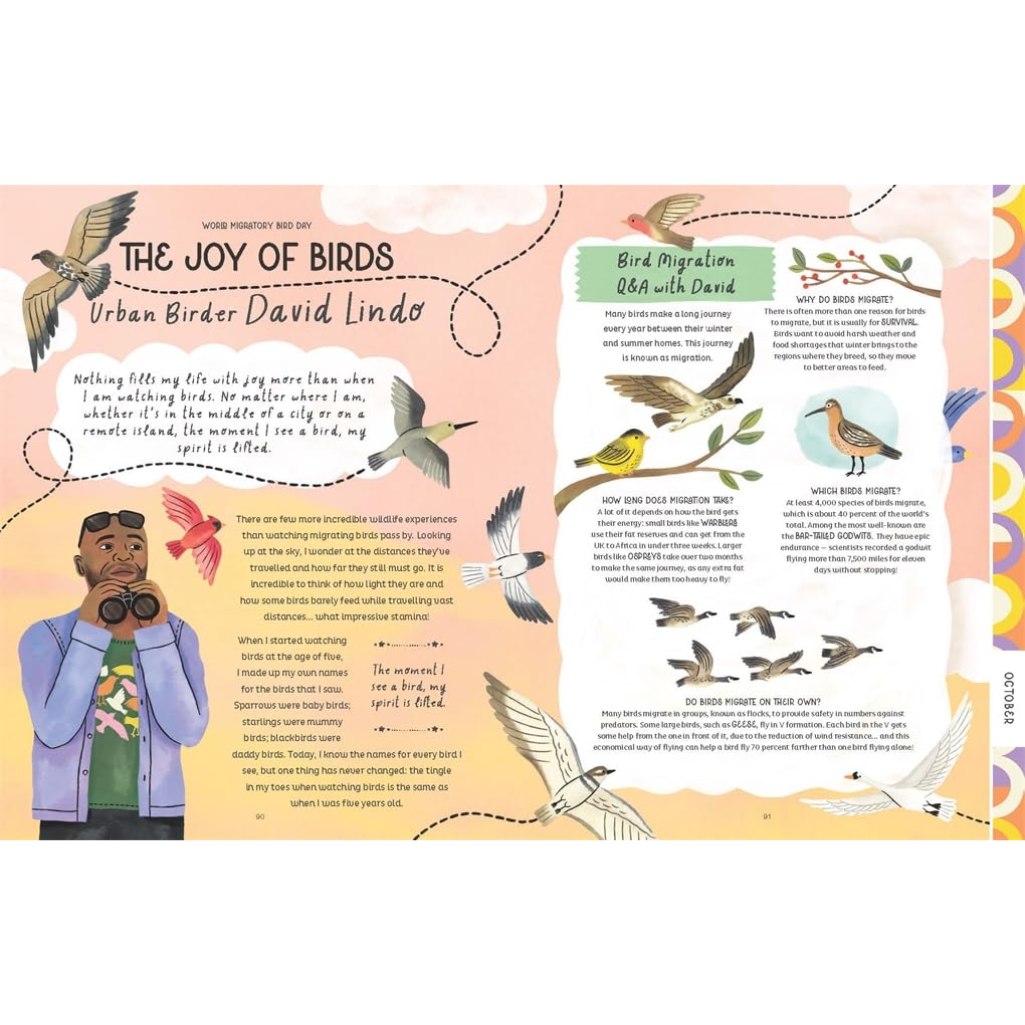 Book page about birdwatching with illustrations and text on a pink background