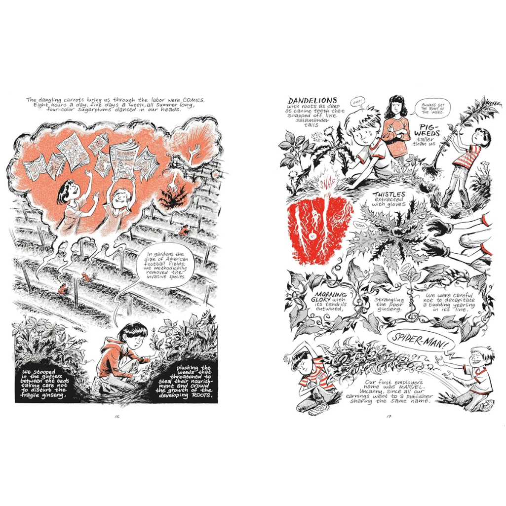 Ginseng Roots (Hardback) Spreads