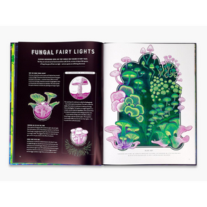 Glow: The wild wonders of bioluminescence - Wild Wonders (Hardback) spread
