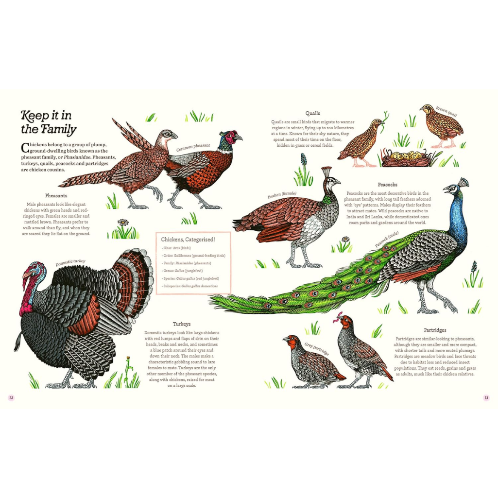Illustrations of various birds with text on a white background