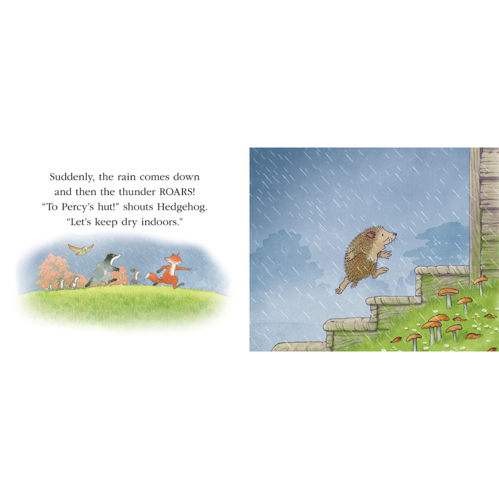 A Rainy Day: A brand new Percy the Park Keeper story with all your favourite characters! (Stories from Percy’s Park) Board book – 15 Jan. 2026
by Nick Butterworth (Author)