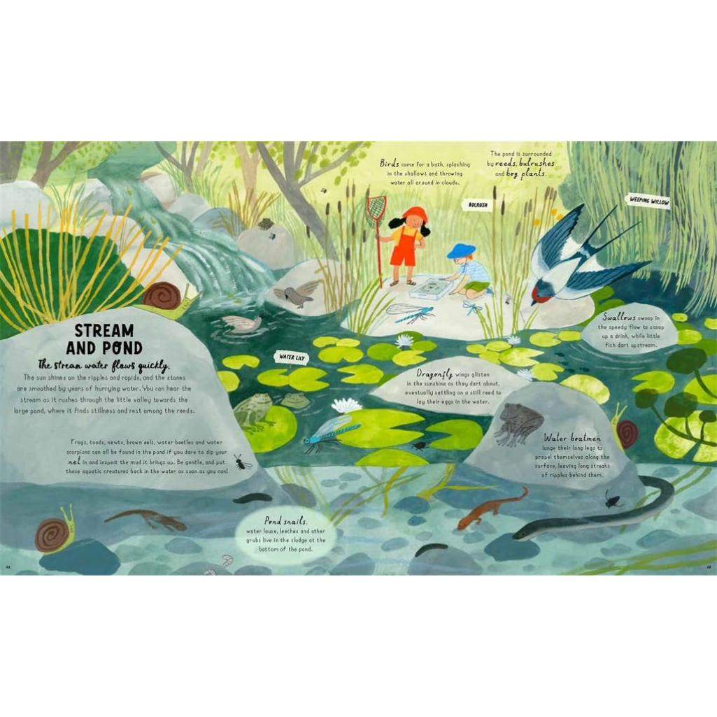 How to Grow a Garden: Find a Plant for Every Place (Hardback) internal spread