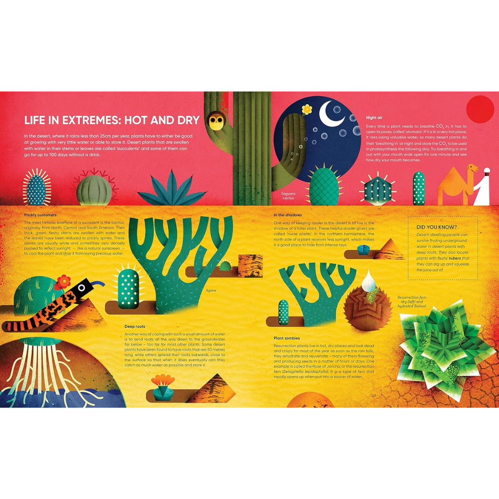 I Ate Sunshine for Breakfast: A Celebration of Plants Around the World (Paperback) internal spread Image