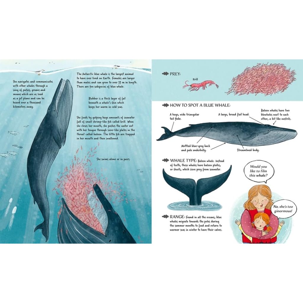 Meet the Whales
by Kate Peridot (Author), Becca Hall (Illustrator)  Format: Paperback
