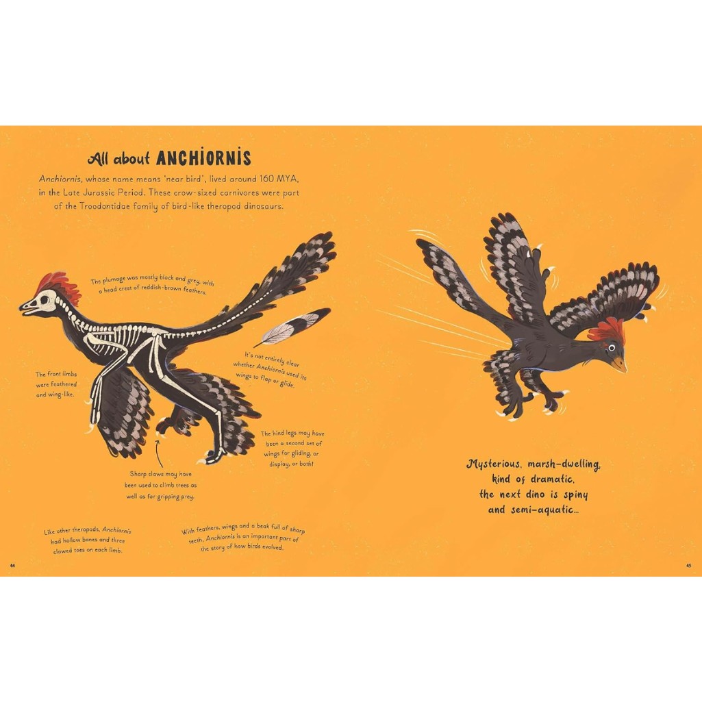 Illustration of Anchiornis with text on an orange background