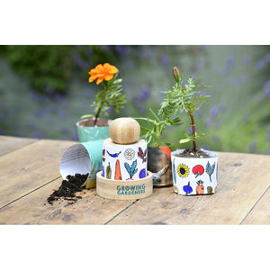Make Your Own Seedling Paper Pots
