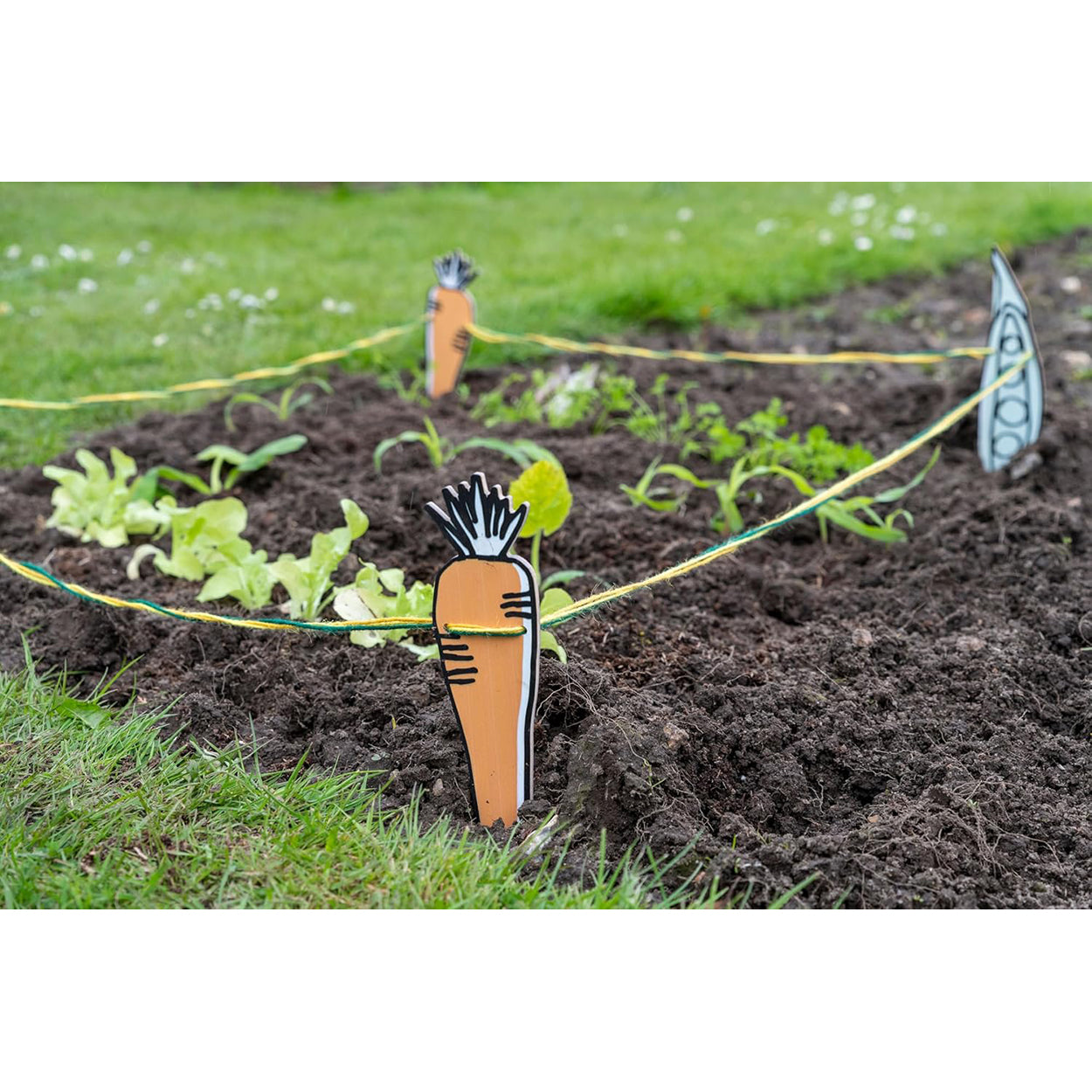 My Vegetable Garden Patch Set