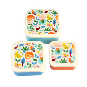 Wild Wonders Snack Boxes