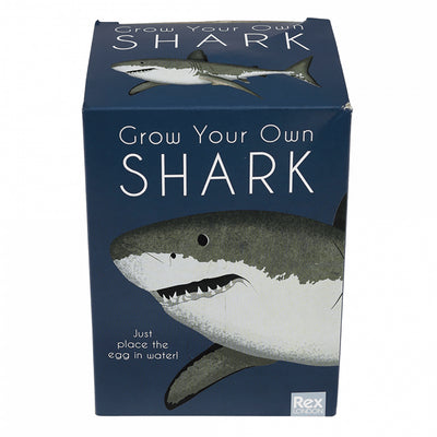 Hatch Your Own Shark Egg