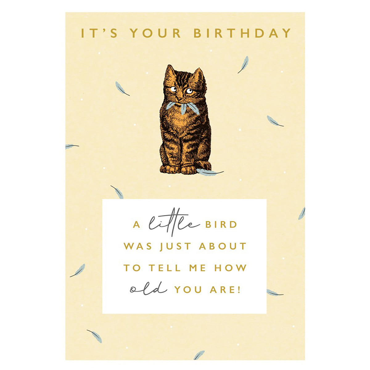 A Little Bird Birthday Card
