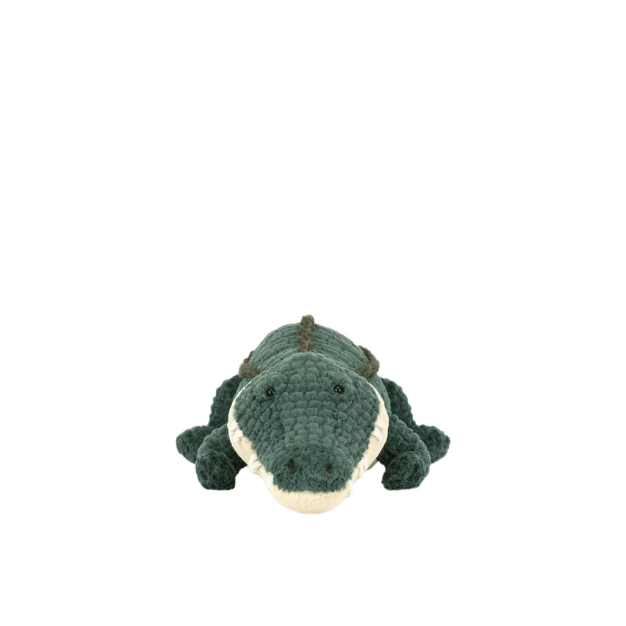 Allexi Alligator