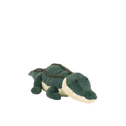 Allexi Alligator