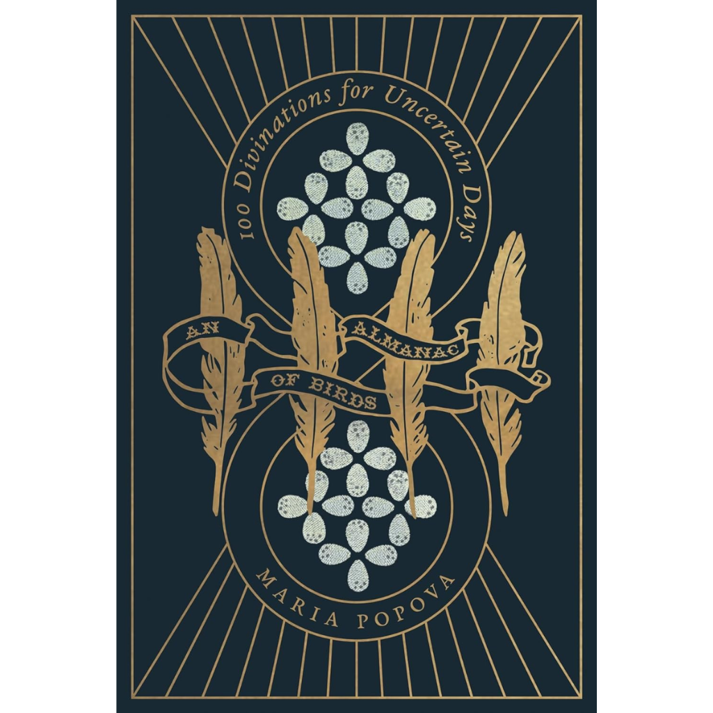 Book cover with decorative elements and text on a dark background