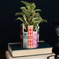 Desk Pot Classic Books