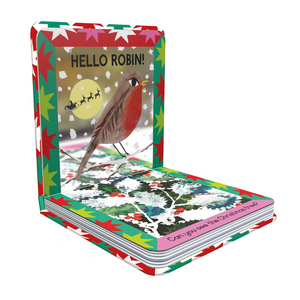 Children's book titled 'Hello Robin!' with a colorful cover featuring a robin and Christmas elements.