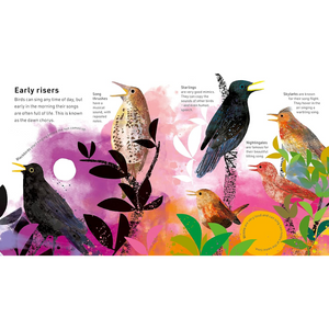 Illustration of various birds with a colorful background