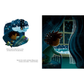 Illustration of a child looking out a window at night with stars, accompanied by text.
