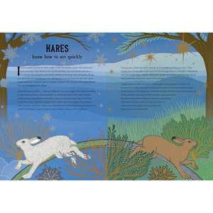 Illustrated book page about hares with a blue background and animal illustrations.