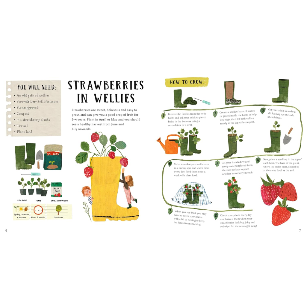 Illustration guide on growing strawberries in wellies with text and graphics.