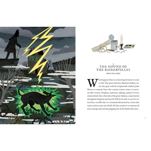 Classic Detective Stories - Classic (Hardback)
Lia Visirin (illustrator)