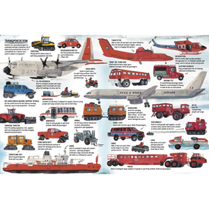 Illustration of various transportation vehicles with labels on a white background