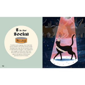 Illustrated book page with a cat and text about Bombay cats.