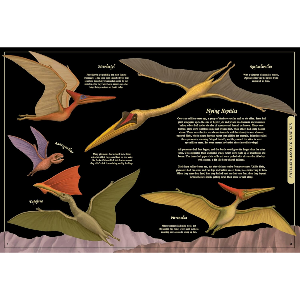 Illustration of various pterodactyls on a black background