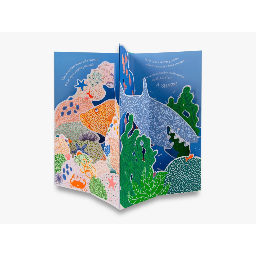 
Little Fish: A Carousel Book (Hardback)