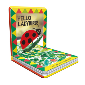Children's book titled 'Hello Ladybird!' with a colorful cover featuring a ladybug illustration.