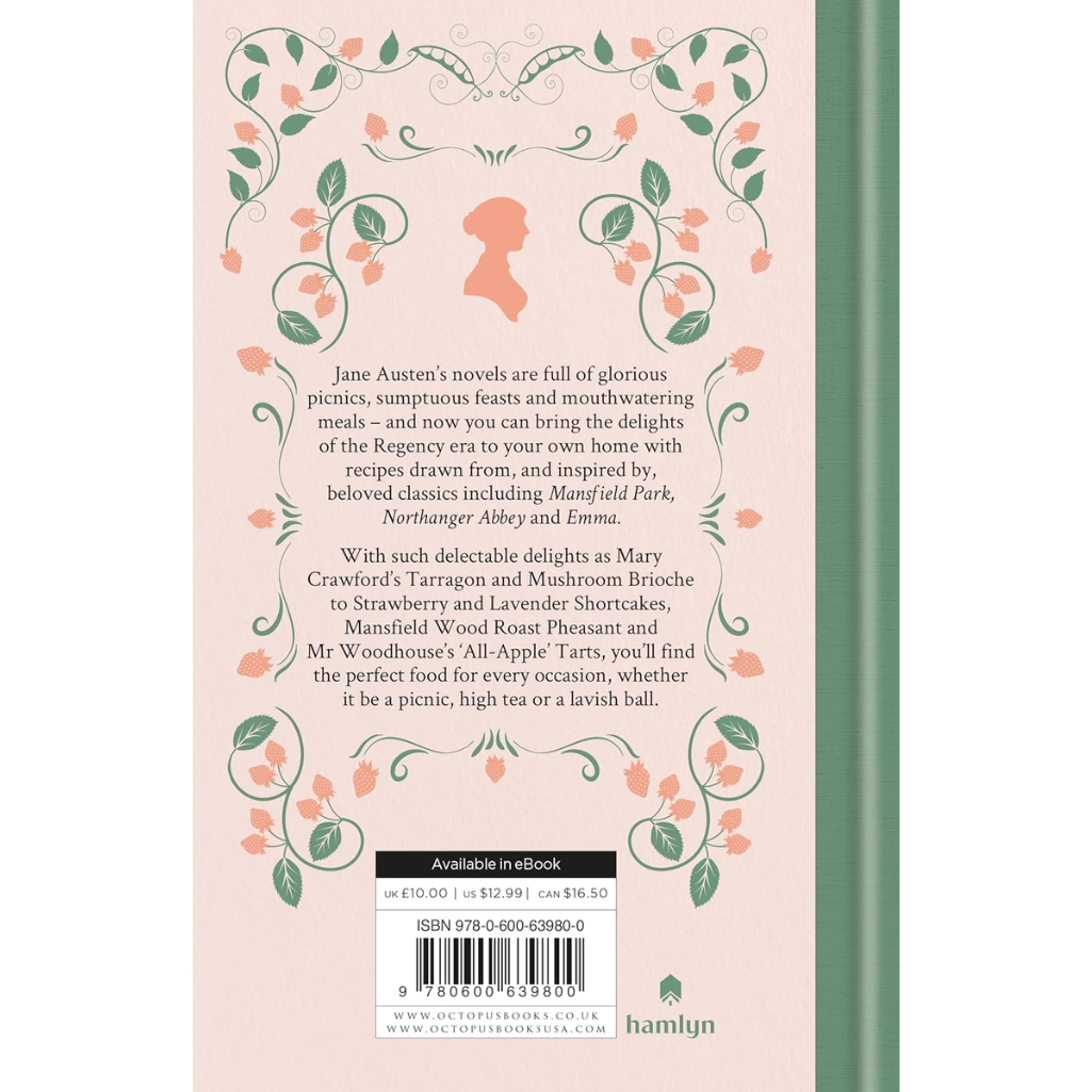 Book back cover with decorative elements and text on a pink background