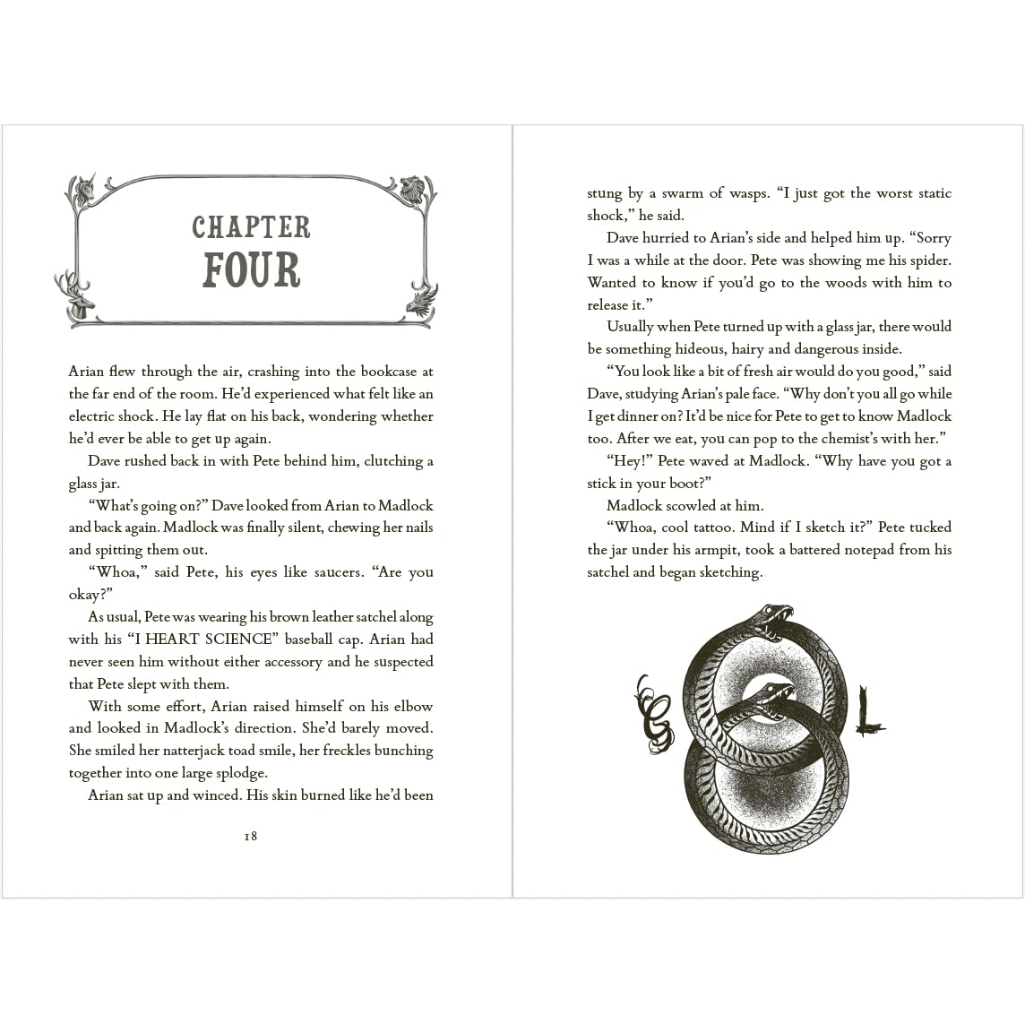 A Sequence of Cosmic Accidents (Paperback) spread
