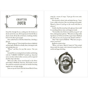 A Sequence of Cosmic Accidents (Paperback) spread
