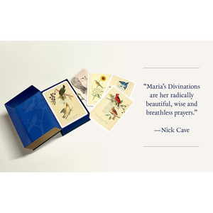 Set of cards with bird illustrations in a blue box on a light beige background