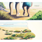 Illustration of two people walking on a beach with tide pools and text.