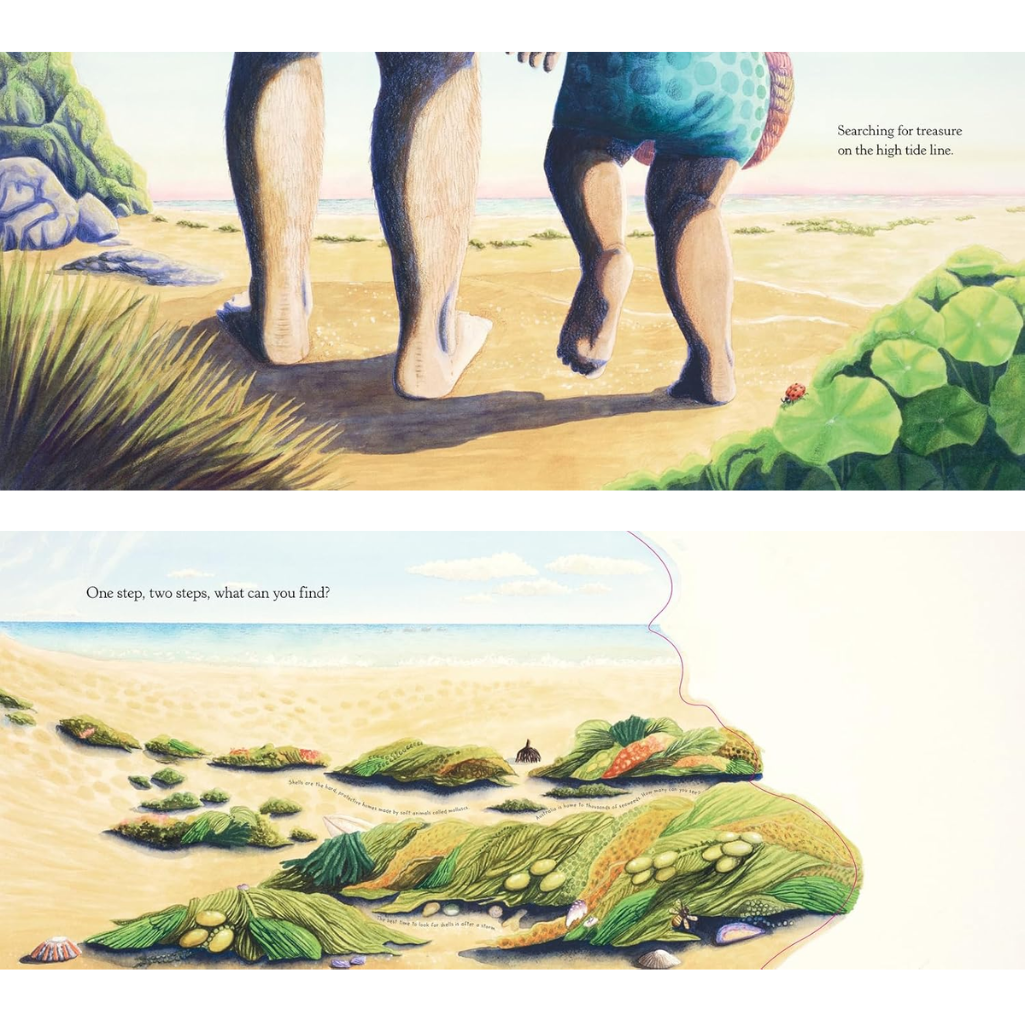 Illustration of two people walking on a beach with tide pools and text.