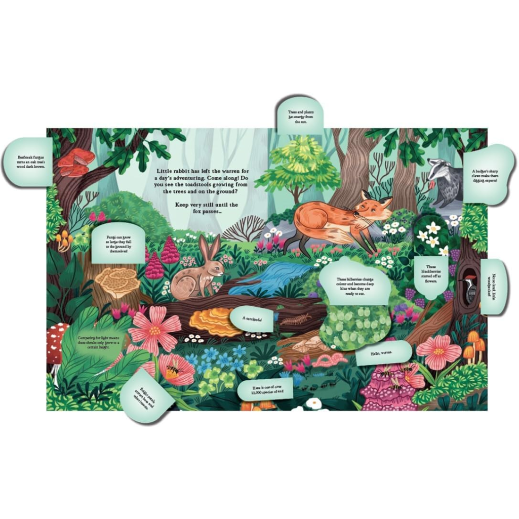 Illustrated children's book or educational material with forest animals and text on a white background