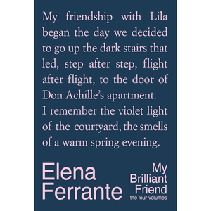 Book cover with text about a friendship and author's name on a dark blue background