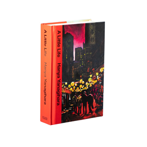 Book titled 'A Little Life' by Hanya Yanagihara with a colorful cover design on a white background